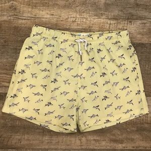 Bermies Flying Fish Swim Trunks